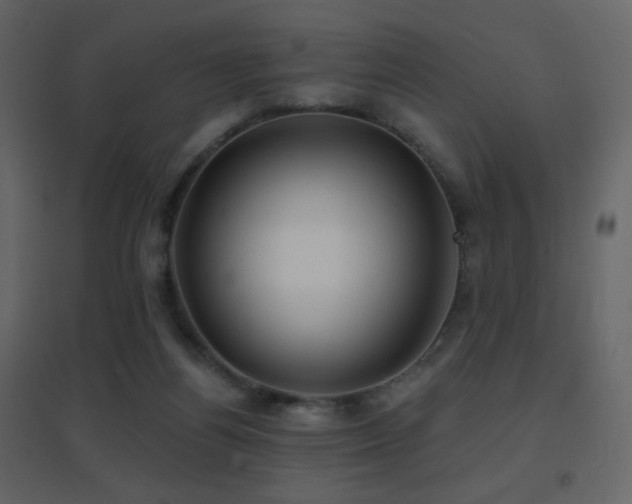 X0000096690164200802051355