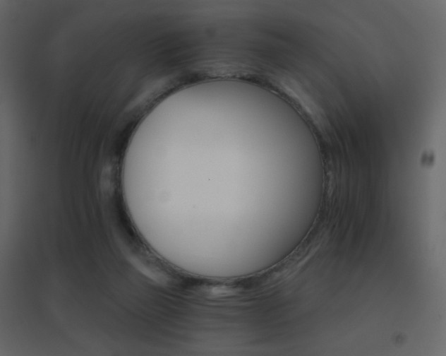 X0000096690165200802051355