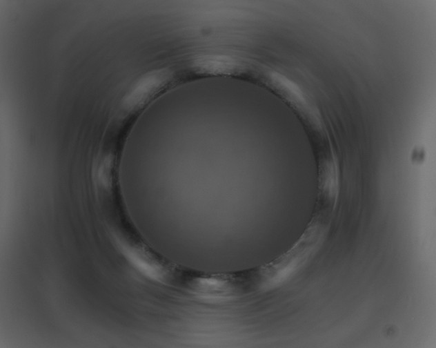 X0000096690167200802051355