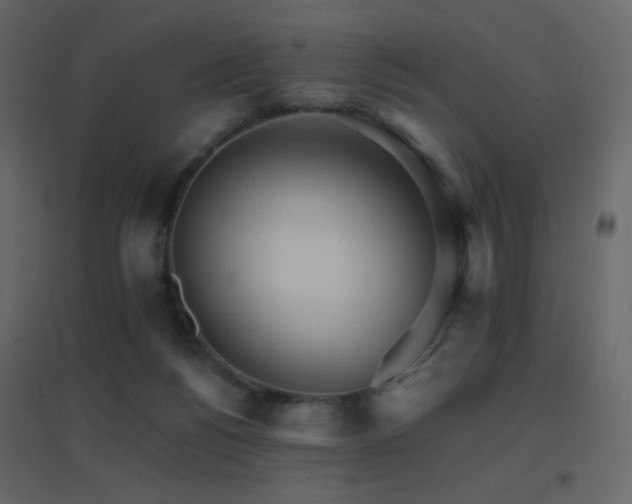 X0000096690168200802051355