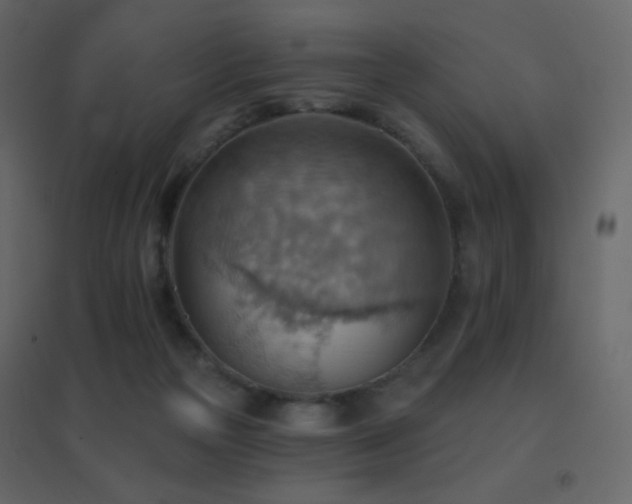 X0000096690169200802051355