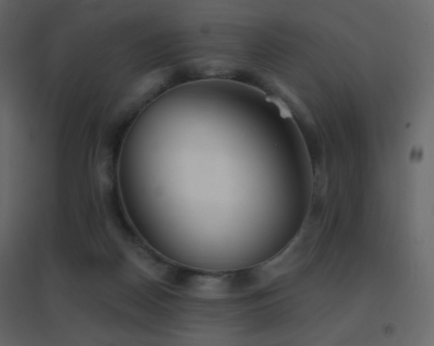 X0000096690170200802051355