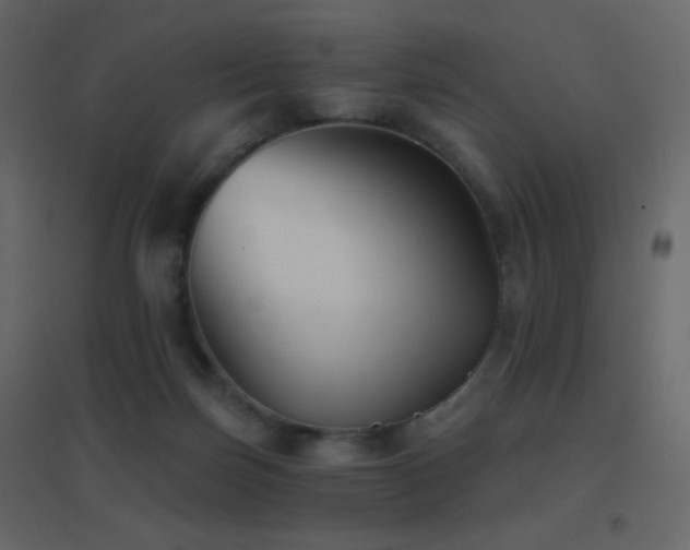 X0000096690171200802051355