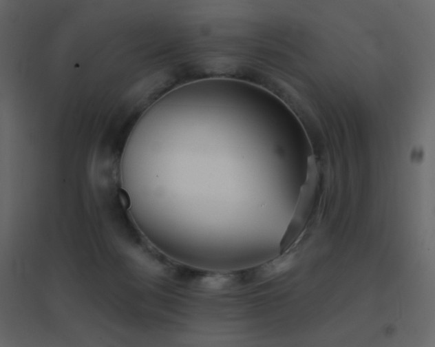 X0000096690172200802051355