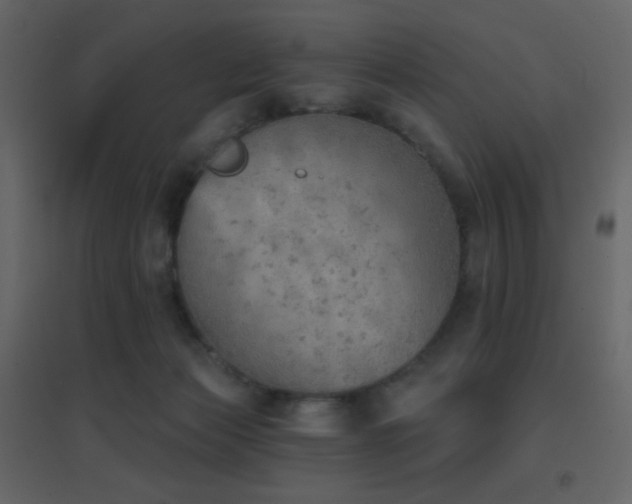 X0000096690173200802051355