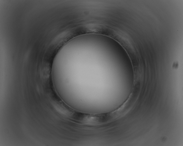 X0000096690174200802051355