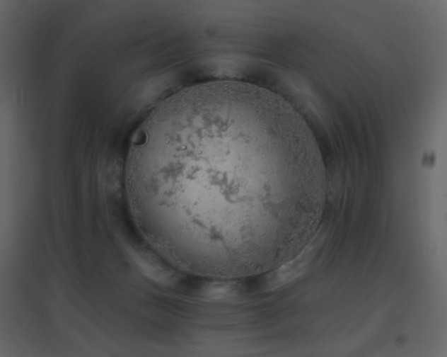 X0000096690175200802051355