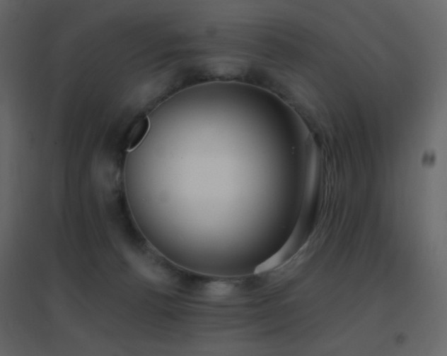 X0000096690176200802051355