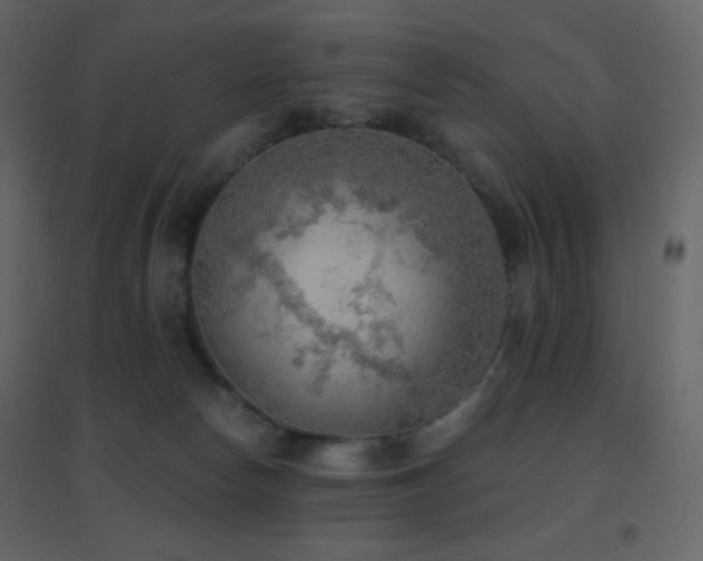 X0000096690178200802051355