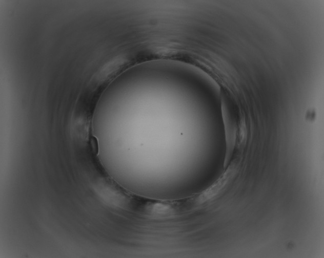 X0000096690180200802051355