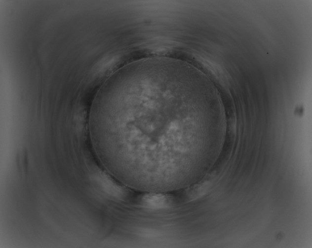 X0000096690181200802051355