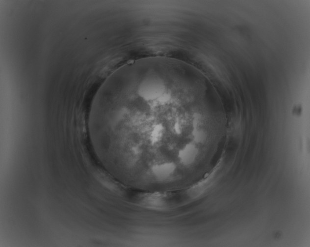 X0000096690182200802051355