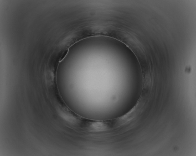 X0000096690183200802051355