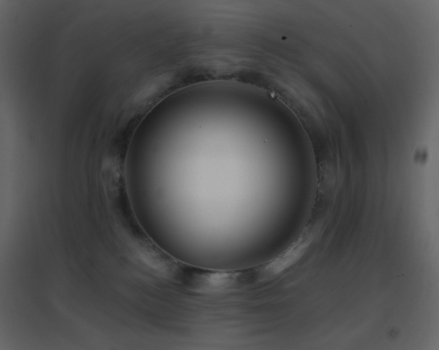 X0000096690184200802051355