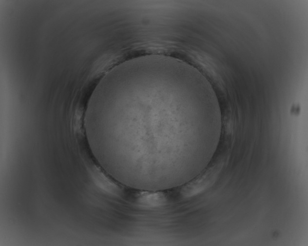 X0000096690185200802051355