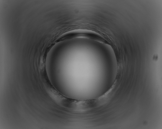 X0000096690186200802051355