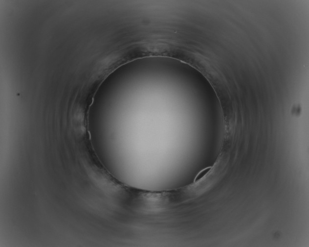 X0000096690187200802051355