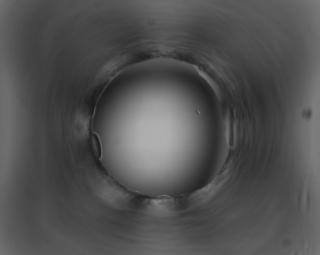 X0000096690188200802051355