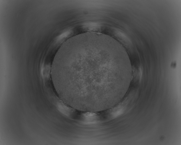 X0000096690189200802051355