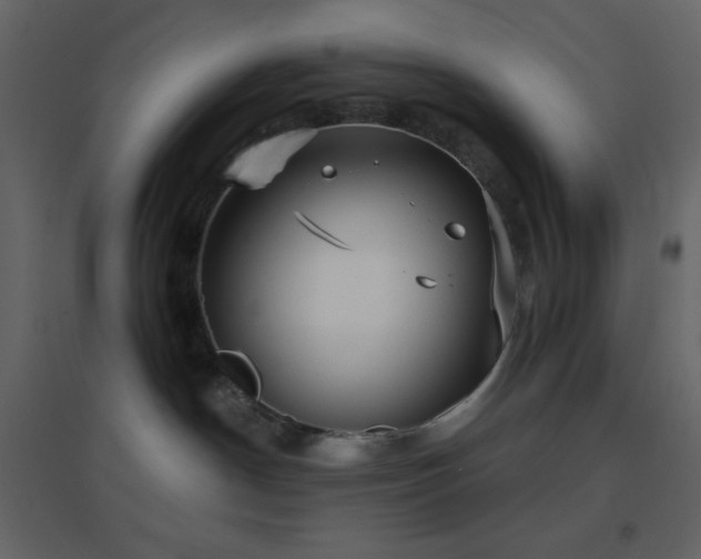 X0000096690190200802051355