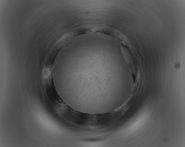 X0000096690191200802051355