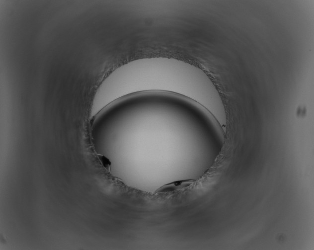 X0000096690192200802051355