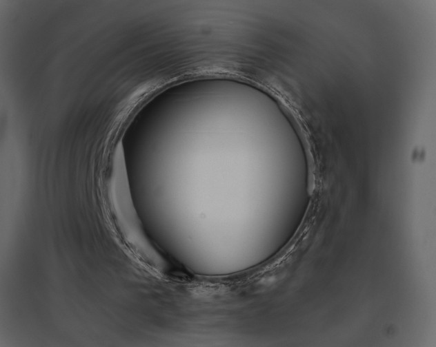 X0000096690193200802051355