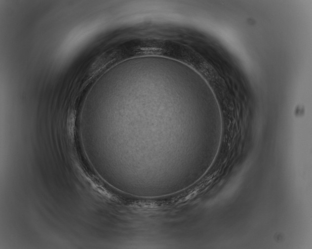 X0000096690194200802051355