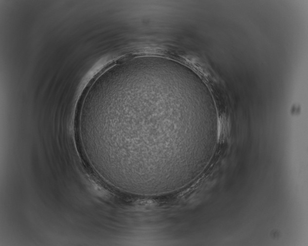 X0000096690195200802051355