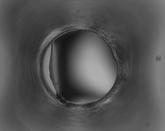 X0000096690197200802051355