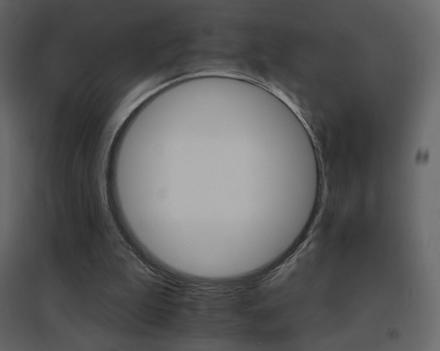 X0000096690199200802051355