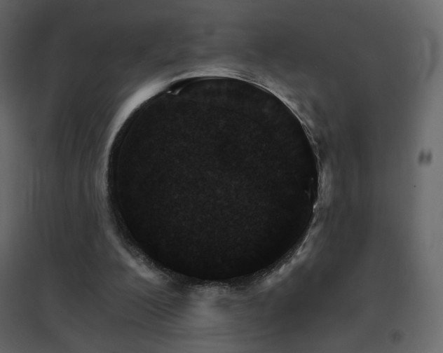 X0000096690200200802051354