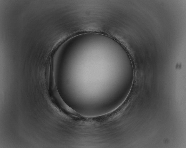 X0000096690201200802051354