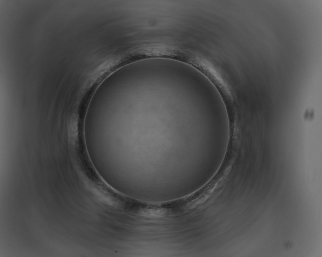 X0000096690202200802051354