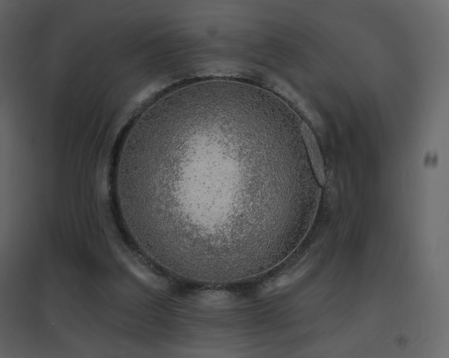 X0000096690203200802051354