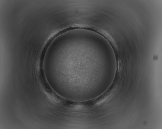 X0000096690204200802051354