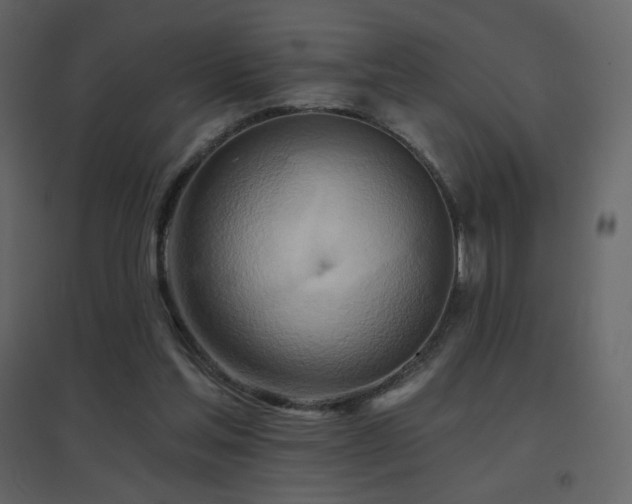 X0000096690205200802051354