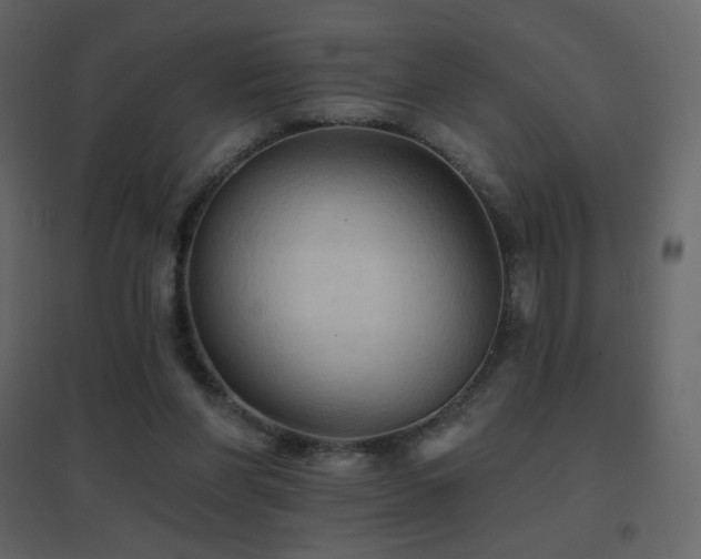 X0000096690206200802051354