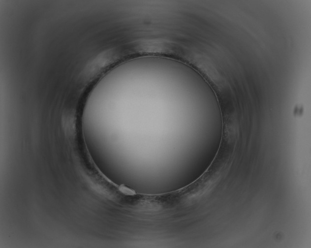 X0000096690207200802051354