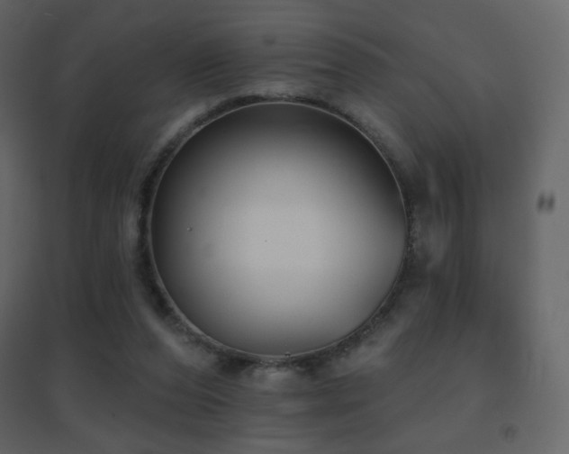 X0000096690208200802051354