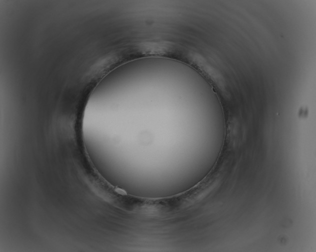 X0000096690209200802051354