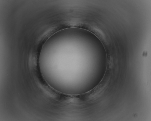 X0000096690210200802051354