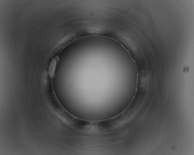 X0000096690211200802051354