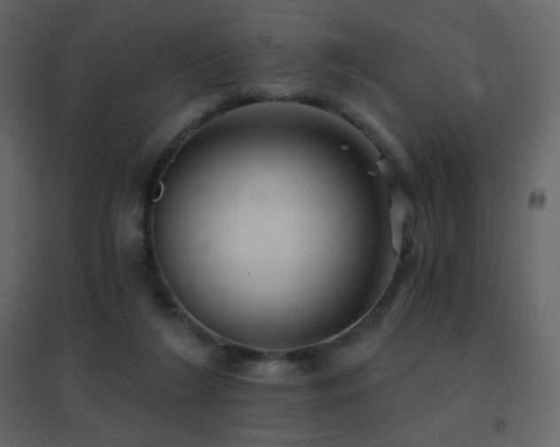 X0000096690212200802051354