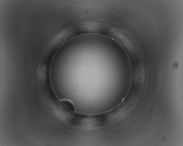 X0000096690213200802051354