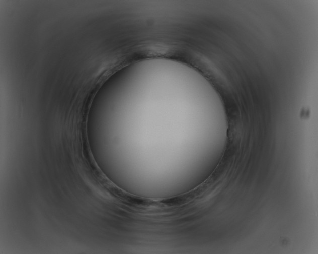 X0000096690215200802051354