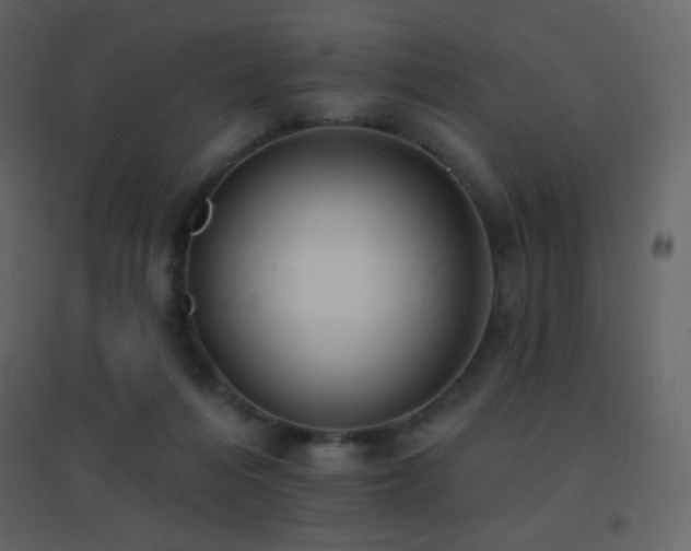 X0000096690216200802051354