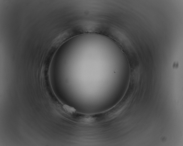 X0000096690217200802051354