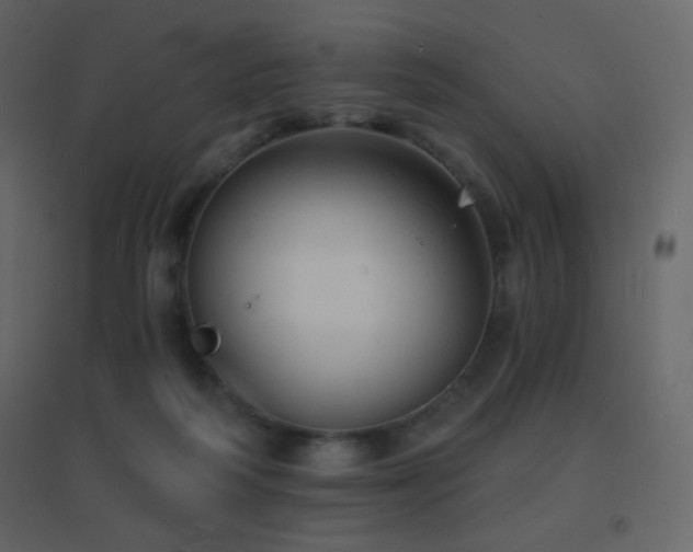 X0000096690218200802051354