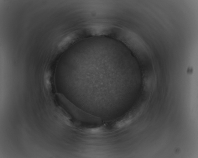 X0000096690219200802051354